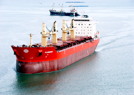 Tàu 54.000DWT