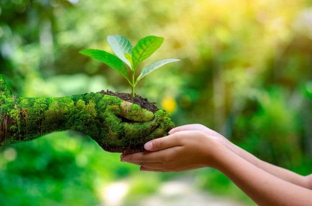 Ngày Môi trường Thế giới 5/6: Nguồn gốc, ý nghĩa
